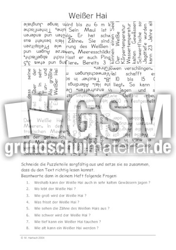 Weißer Hai.pdf